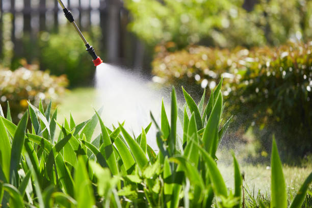 Tamper-Resistant Bait Stations for Rodents in Pembroke