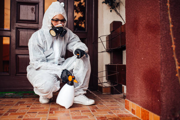 Attic and Crawl Space Rodent Treatment in Pembroke